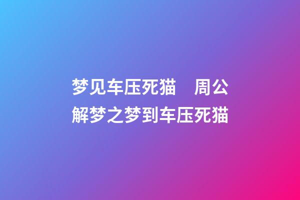 梦见车压死猫　周公解梦之梦到车压死猫